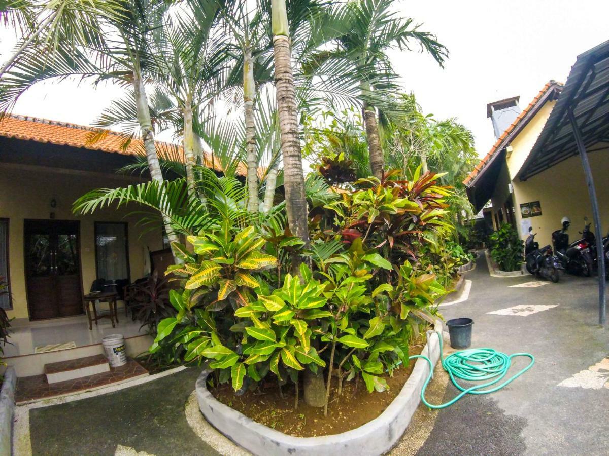 Putu Guest House ชังกู ภายนอก รูปภาพ